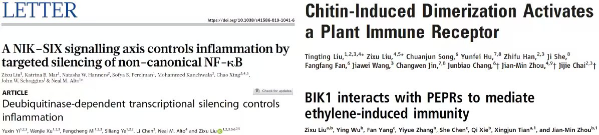 Publications