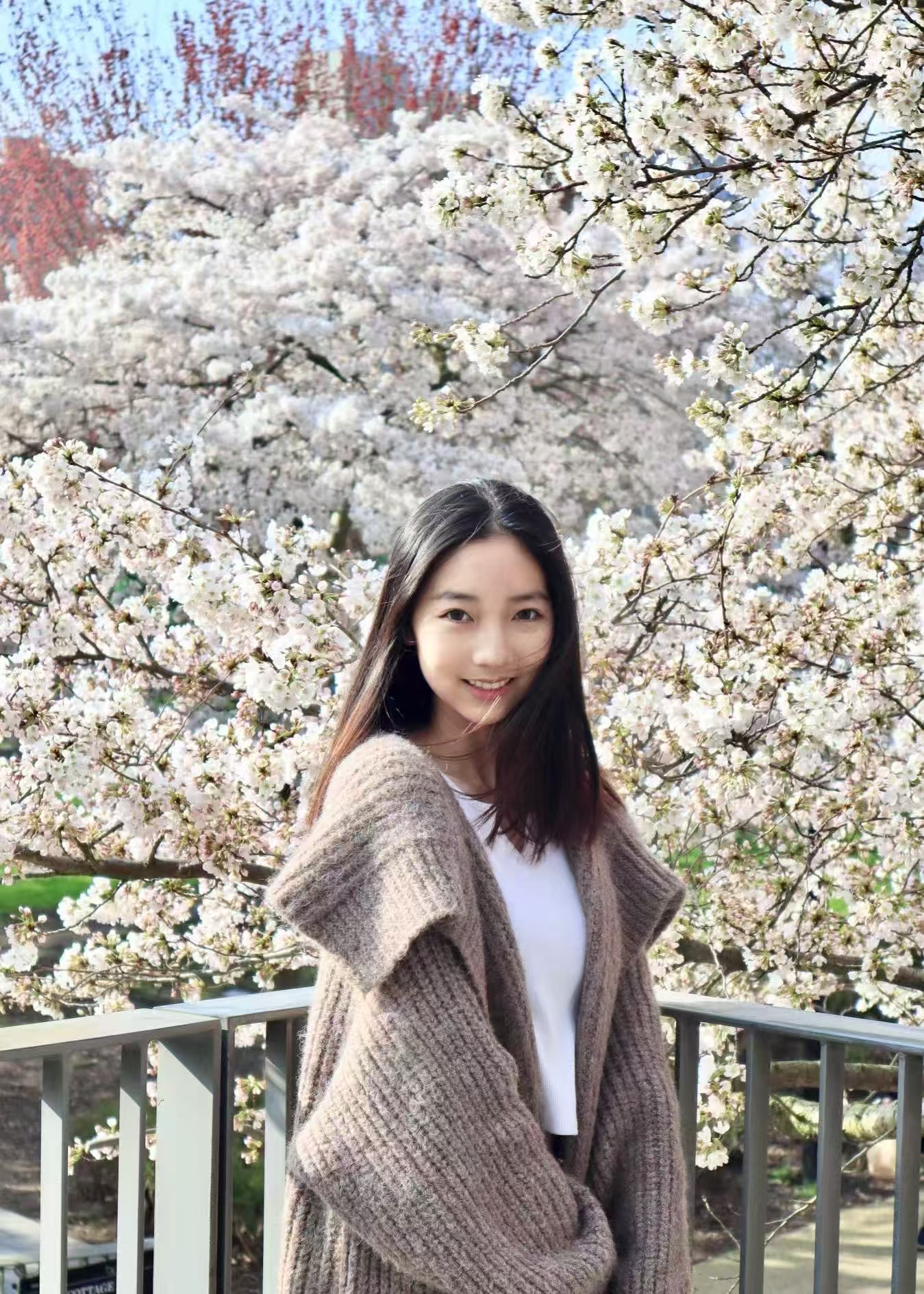 Xinyi Tu(屠欣怡)